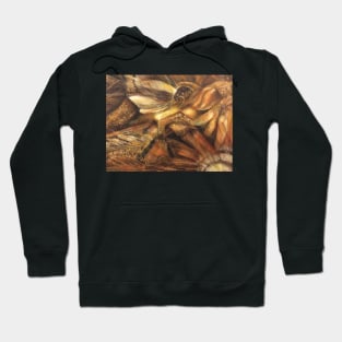 Pandora Hoodie